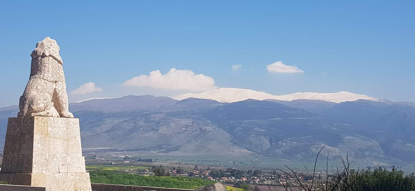 בסביבת המלון